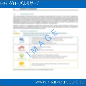 市場と産業調査レポートのイメージ